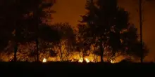 Francia, brucia la foresta delle Landes, oltre 500 persone evacuate