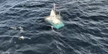 Le immagini della barca a vela alla deriva nel Golfo di Biscaglia