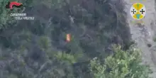 Calabria, appicca il fuoco al bosco ma il drone riprende tutto