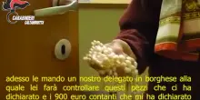 Truffa ad anziana, arrestato in flagrante finto carabiniere