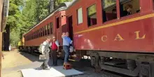 Mendocino, &ldquo;vera America dell&rsquo;Ovest&rdquo; tra sequoie e vigne italiane