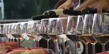 Turismo, la qualit&agrave; della Spagna passa dal Vinoforum: festa di sapori