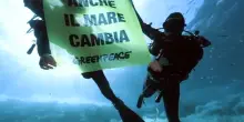 Greenpeace: nei fondali di Ustica forti segnali di stress termico