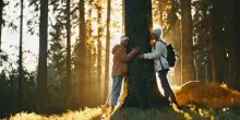 Il fascino dell&rsquo;autunno in Val di Fiemme tra foliage e benessere