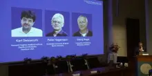 Premio Nobel per la medicina a tre scienziati per studio sul cervello
