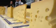 Swiss Cheese Awards, migliori formaggi svizzeri in gara a Friburgo