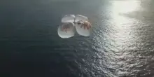 Spazio, l&rsquo;equipaggio della missione Crew-12 rientrato sulla Terra