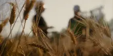 20 centesimi in pi&ugrave; per il pane di domani