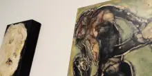 Raptor del Sol nel Basement di Fondazione Elpis