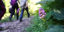 Al via l&rsquo;ottava edizione di &ldquo;Cammina Natura&rdquo;