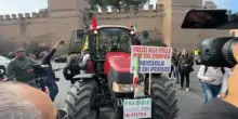 Sciopero, alla manifestazione a Roma sfilano anche i trattori