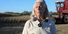Midterm, in Ohio gli agricoltori pro-Trump delusi dal caro-energia