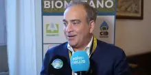 Biometano agricolo, Gattoni (CIB): serve quadro stabile