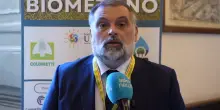Biometano, sen. De Carlo: agricoltura centrale