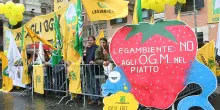 Navdanya e nuovi Ogm, quando la democrazia &egrave; brevettata