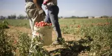 A Marsala &egrave; caccia ai lavoratori stranieri: cinque raid in pochi giorni