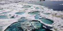 Tracy Arm, l&rsquo;estremit&agrave; interna di un fiordo