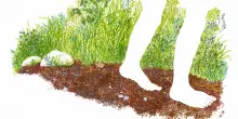 Tra cattivit&agrave; e bisogno, alla ricerca di un inizio