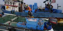 In Europa sono ancora troppo alti i livelli di metilmercurio e mercurio presenti nel tonno e nel pesce spada