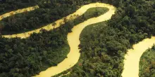 In Amazzonia aria irrespirabile per l’agribusiness