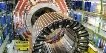 «Il Cern interrompa la collaborazione con lo Stato ebraico. Lo dice lo statuto»