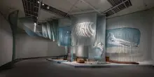 Triennale di Aichi, l’arte ai tempi della guerra