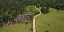 Mercosur, un accordo che fa male all&rsquo;Amazzonia