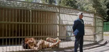 &laquo;Wax & Gold&raquo;, verso Selassi&eacute; tra le mappe del colonialismo