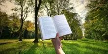 Nel segno della solitudine, quando incontrarsi significa riconoscersi