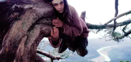 &laquo;Cos&igrave; ho resistito due anni in cima a una sequoia&raquo;