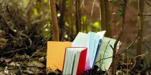 Se la poesia somiglia a un presidio di futuro
