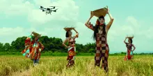&laquo;Dash&raquo;, droni agricoli come un favore dagli antenati