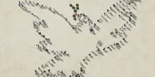 La pace e l&rsquo;eros della democrazia