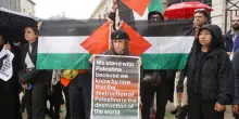 Biennale, pi&ugrave; di cento artisti: &laquo;No all&rsquo;artwashing di Israele&raquo;