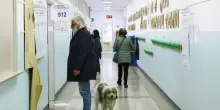 Dopo il referendum le coalizioni alla prova delle citt&agrave;