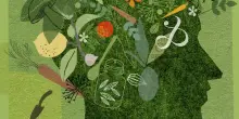 Il vegetarianismo come giustizia sociale