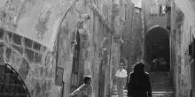 &laquo;All&rsquo;ombra della Shoah&raquo;. Se la memoria al presente diventa uno spazio condiviso