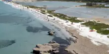 Riscaldamento globale e inquinamento, allarme per il polmone del Mediterraneo