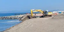 Posidonia &laquo;spiaggiata&raquo;, il rifiuto balneare diventa circolare
