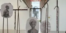 Dieffenbachia, la pianta che insegna la resistenza