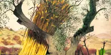 Nalini Nadkarni, meraviglie della biologia degli alberi