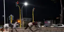 Cavalli &laquo;disertori&raquo; e feriti gravi. Notte di caos e vigili sospettati