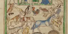 Dronke, l&rsquo;uomo e gli animali in un Eden liberato dalla gabbia allegorica