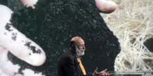 Elogio della lentezza