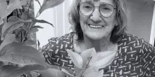 Dinah Brooke, pedagogia nera e satira nichilista