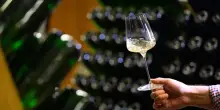 &laquo;Il vino naturale piace perch&eacute; fa politica&raquo;