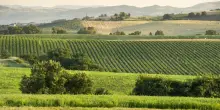 &laquo;Indipendenti dai fertilizzanti, i nostri concimi sono naturali&raquo;