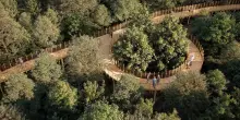 La storia del bosco di Montopoli dimostra che resistere &egrave; possibile