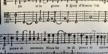 Oltre il genere. Ecosistemi sonori
