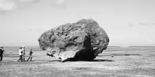 Shitamichi Motoyuki,  geografia della catastrofe